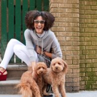 Carla Hall's pet Poodles