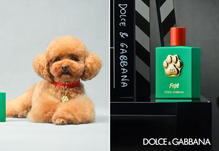 Dolce & Gabbana Unveil Fefé, the First Luxury Perfume for Dogs