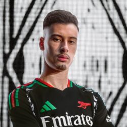 Gabriel Martinelli Pets