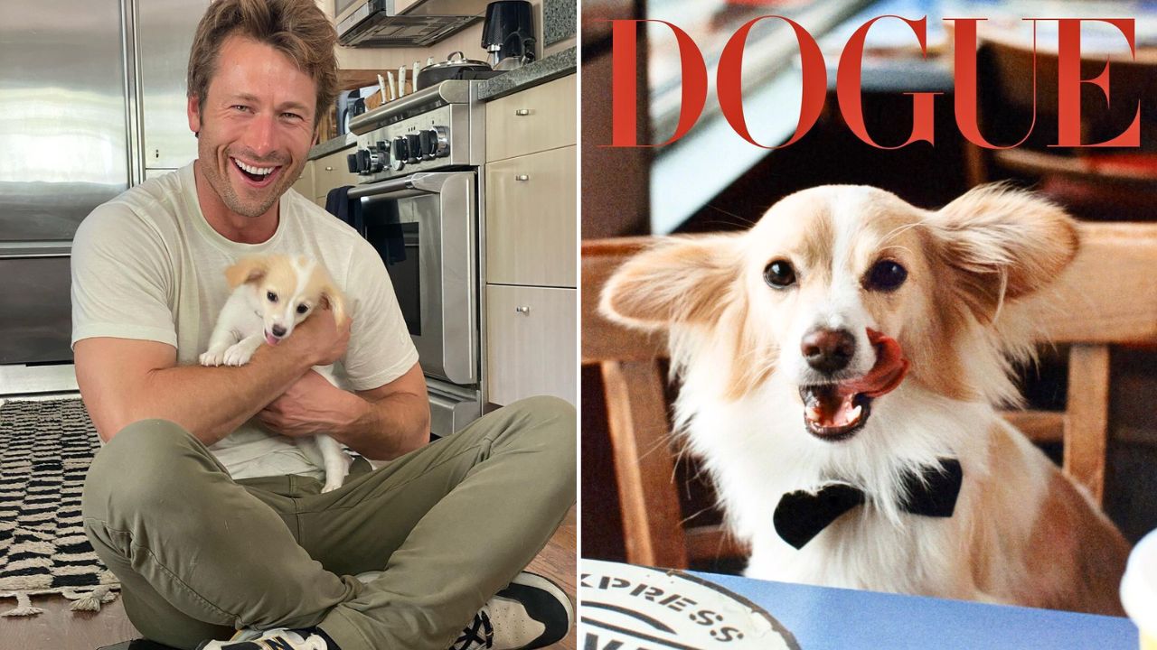 Glen Powell Rescue Pup Brisket Continues His Hot Streak With Vogue Dogue Edition Cover