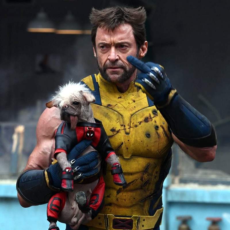 Hugh Jackman as Wolverine holding Dogpool