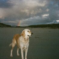 Isabela Ferrer's pet Dog