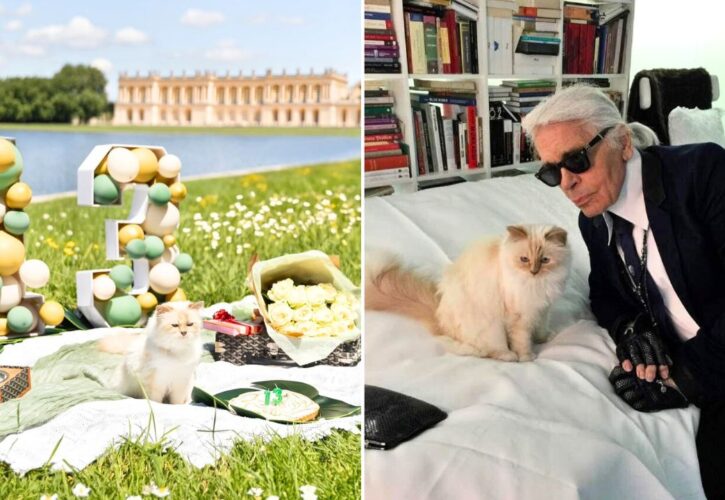 Karl Lagerfeld’s Cat Choupette Celebrates Her 13th Birthday With a Parisian Picnic