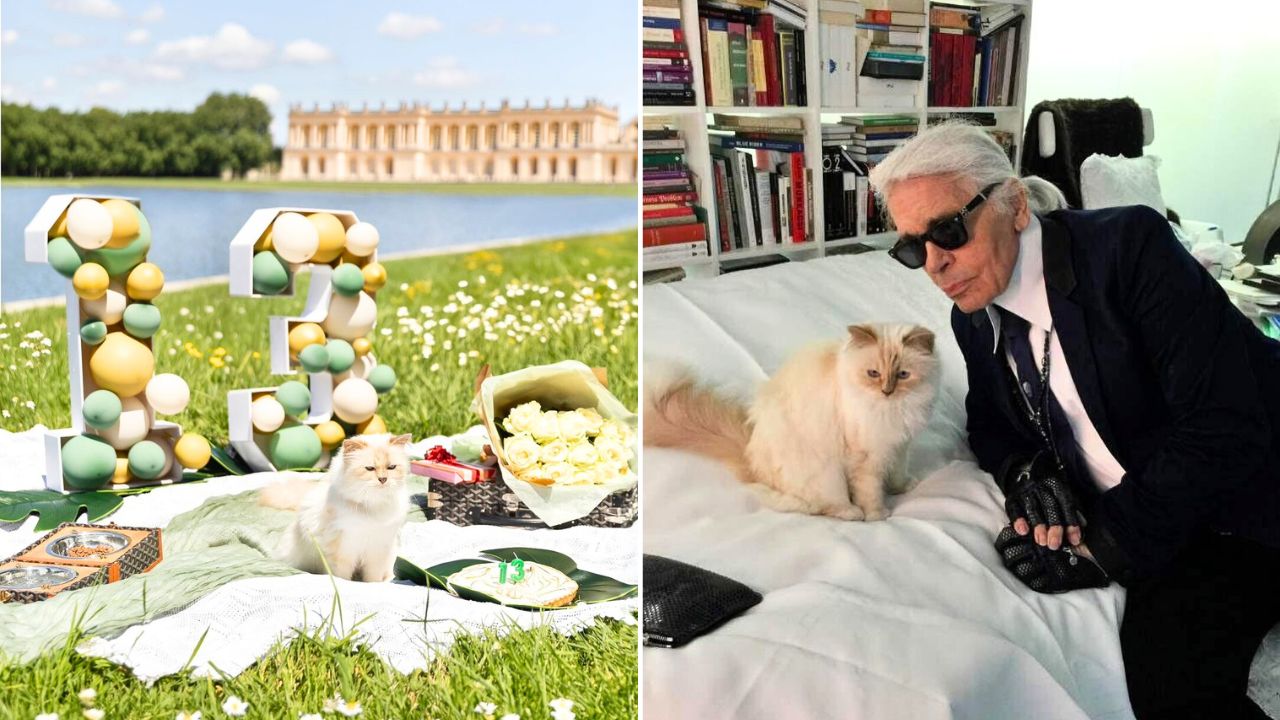 Karl Lagerfeld Cat Choupette 13th Birthday Party Picnic