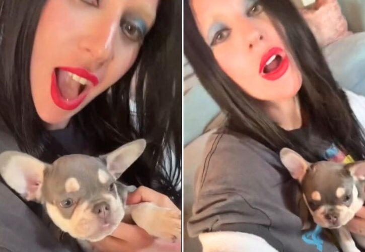 Lady Gaga Surprises Fans With a New French Bulldog Puppy