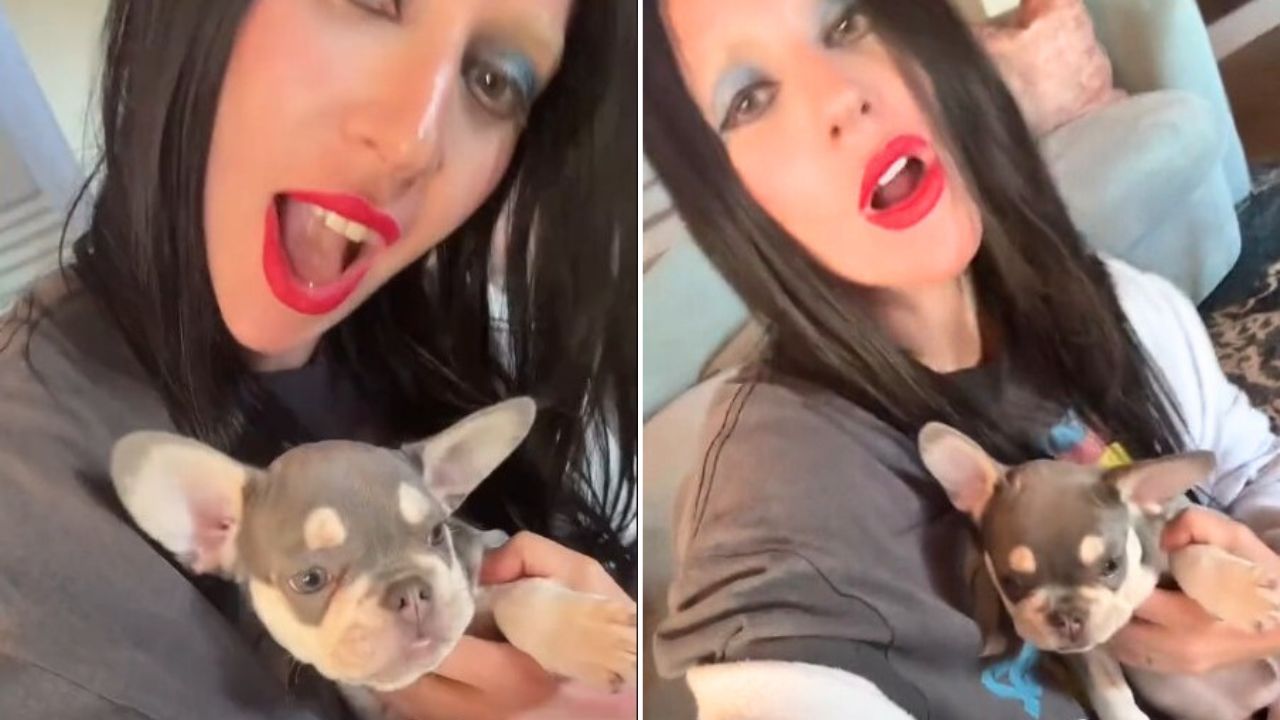 Lady Gaga Surprises Fans With Her New French Bulldog Puppy