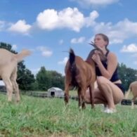 Millie Bobby Brown's pet Georgia Farm Ranch