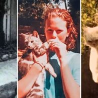 Nicole Kidman's pet Priscilla, Chauncy, and Gregory