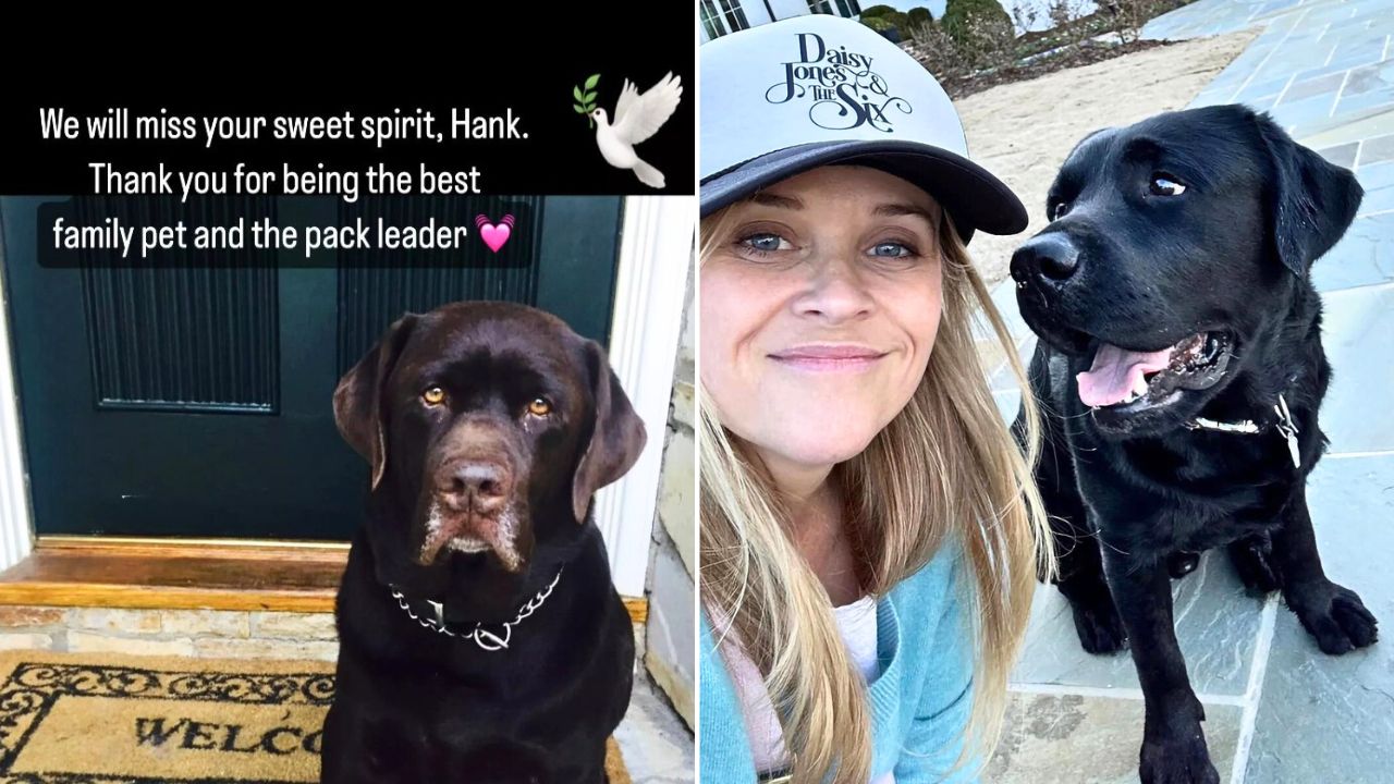 Reese Witherspoon and Daughter Ava Mourns Loss of Hank Their 14-Year-Old Labrador