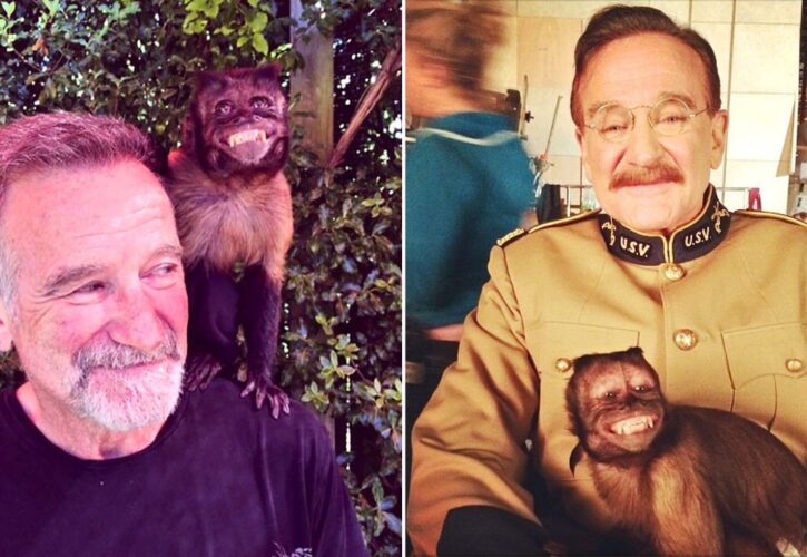 Robin Williams Alleged Pet Monkey Refuted by His Daughter Zelda