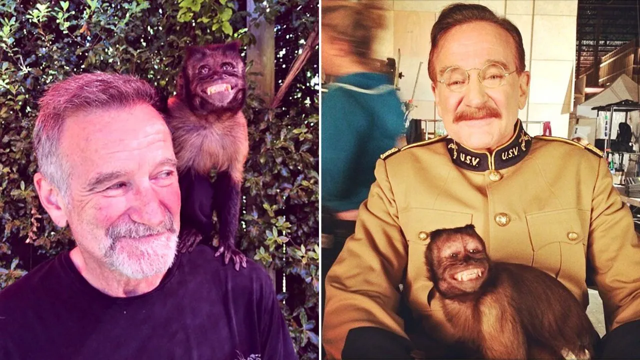 ROBIN WILLIAMS MEETS MONKEY visual data 2
