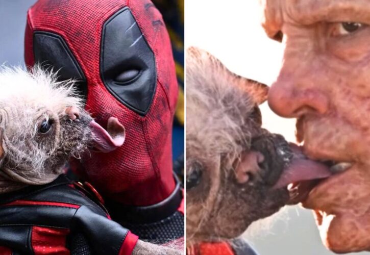 Ryan Reynolds and Dogpool Trade Shots Over Their Infamous Kissing Scenes in ‘Deadpool & Wolverine'