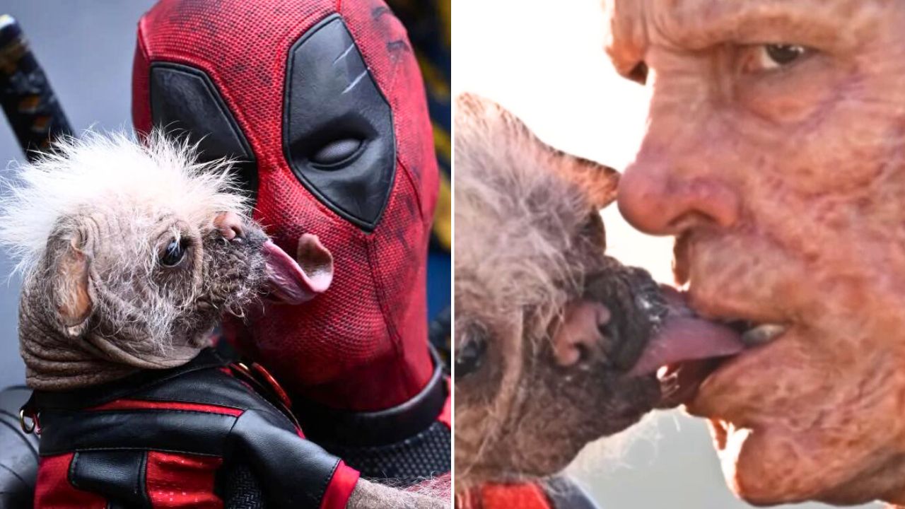 Ryan Reynolds and Dogpool Trade Shots Over Their Infamous Kissing Scenes in Deadpool & Wolverine