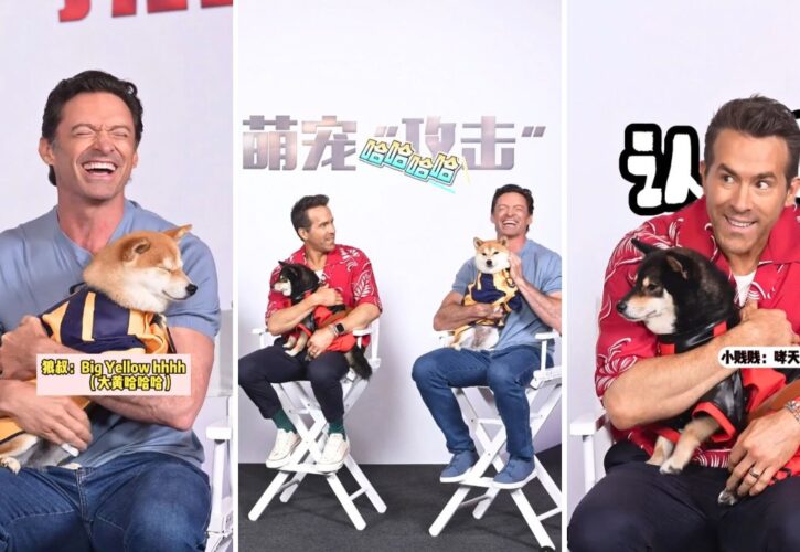 Ryan Reynolds and Hugh Jackman Are Surprised With Shiba Inu Versions of Deadpool and Wolverine