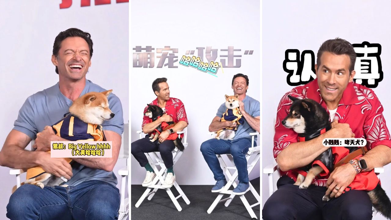 Ryan Reynolds and Hugh Jackman meet Shiba Inus for Deadpool and Wolverine