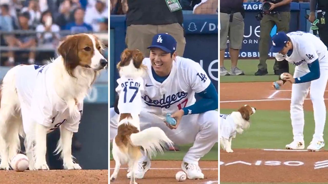 Shohei Ohtani’s Dog Decoy Throws the First Pitch at the Dodgers vs Orioles Game