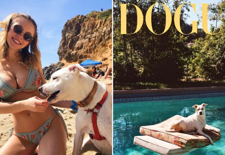 Sydney Sweeney’s Rescue Pitbull Tank Becomes a Cover Girl for Vogue Magazine’s ‘Dogue’ Edition