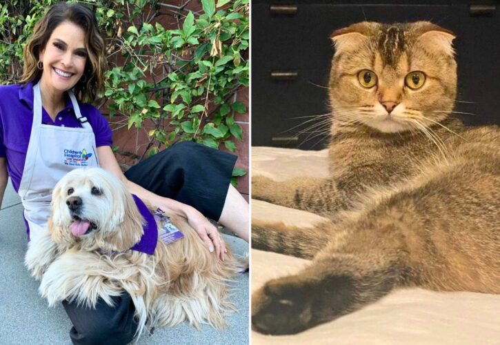 Teri Hatcher Decides to Date Her Cat After Getting Kicked off Dating App