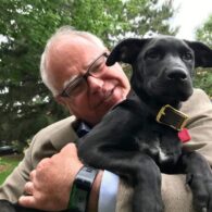 Tim Walz's pet Scout