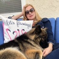 Traci Lords' pet German Shepherd