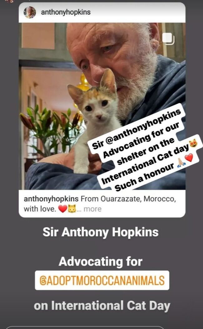 adopt moroccan animals Instagram story of Anthony Hopkins