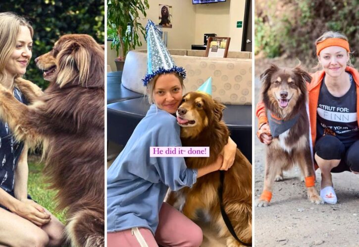 Amanda Seyfried Celebrates Her Rescue Dog Finn’s 15th Birthday With Adorable Photo Dump