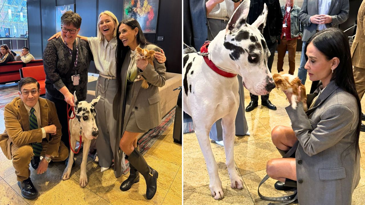 Demi Moore’s Tiny Chihuahua Pilaf Meets Giant Canine Actor Bing the Great Dane