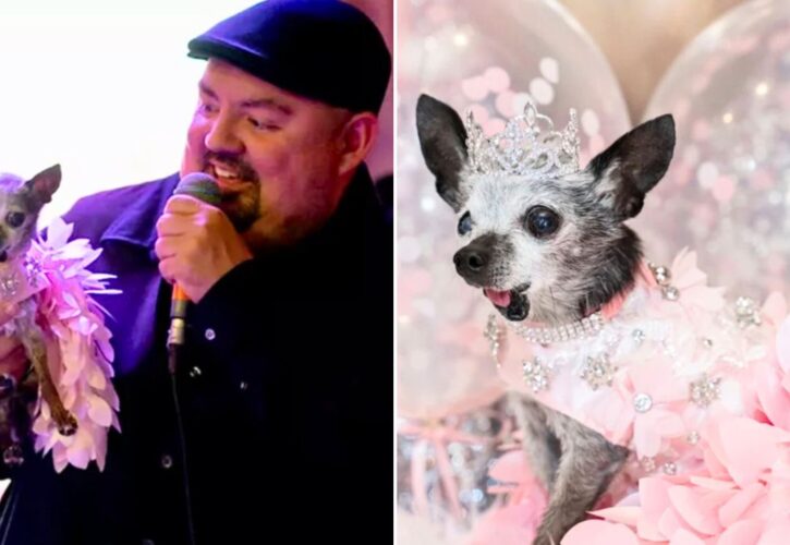 Gabriel Iglesias Mourns His 16-Year-Old Chihuahua, Who He Threw a $100K Quinceañera For