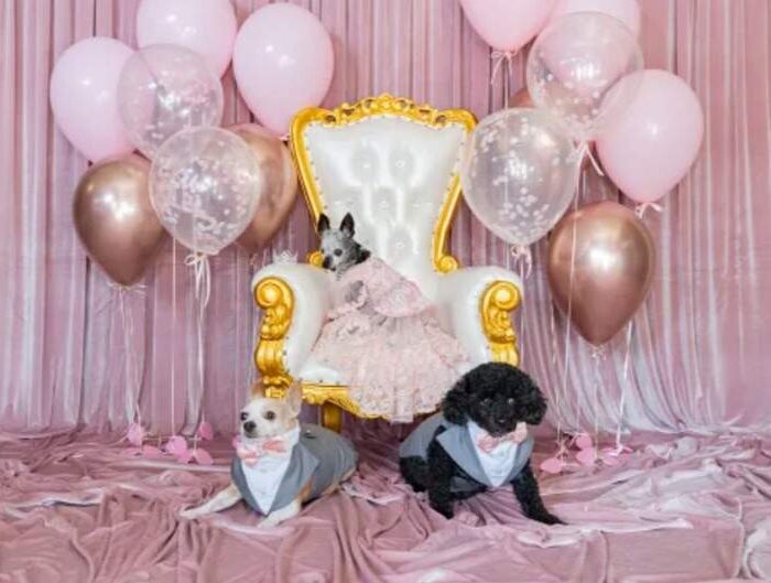 Gabriel Iglesias Quinceañera party for his chihuahua Risa