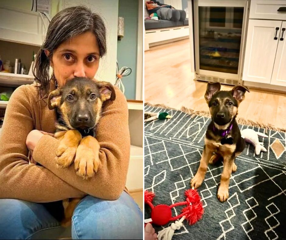 JD Vance's wife with their German Shepherd Atlas