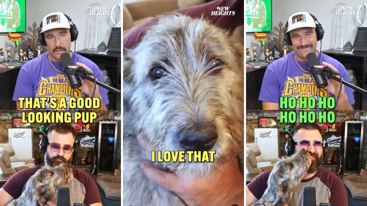 Jason Kelce Debuts Big New Wolfhound Puppy Named Nessie