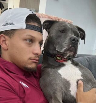 Patrick Mahomes II Pets