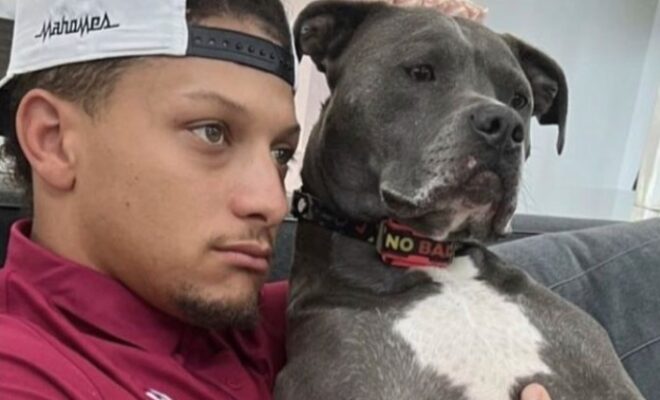 Patrick Mahomes II Pets