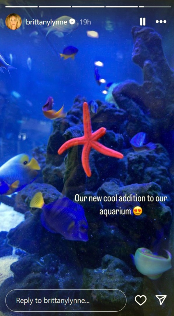 Patrick and Brittany Mahomes pet starfish