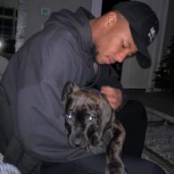 Saquon Barkley's pet ASC Bandog