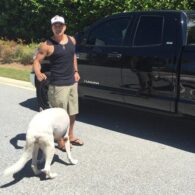 Scott Stapp's pet Brooklyn and Gracie