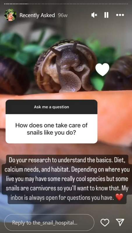 The Snail Hospital educating on pet snail care