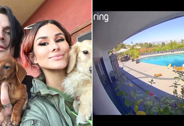 Tommy Lee’s Wife Brittany Furlan Shares Terrifying Video Saving Her Dog From a Coyote