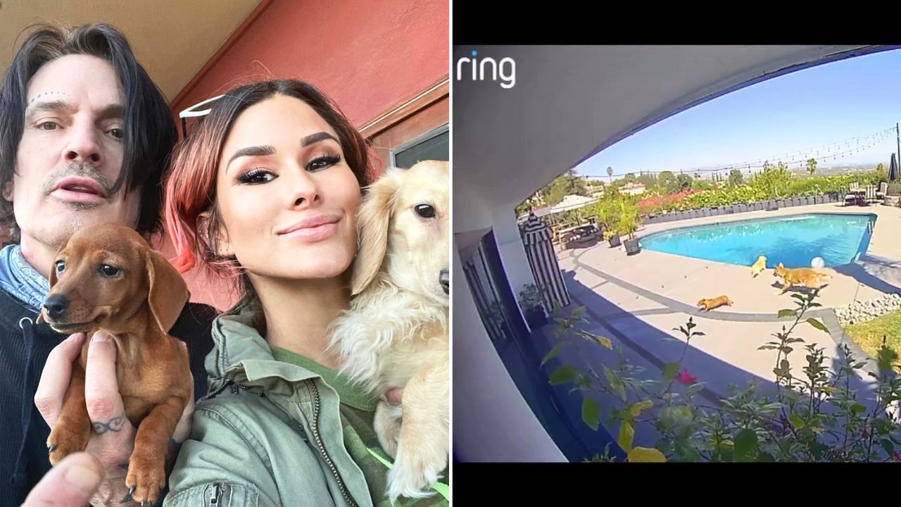 Tommy Lee’s Wife Brittany Furlan Shares Terrifying Video Saving Her Dog From a Coyote Attack