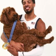 Tyrese Haliburton's pet Ames