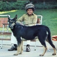 Michael Jackson's pet Childhood German Shepherds