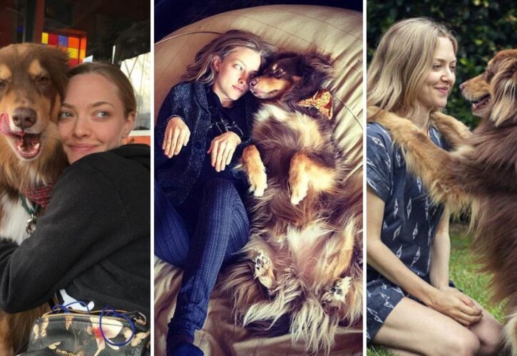 Amanda Seyfried Shares How Vital Her Rescue Dog Finn Has Been to Her Life and Career