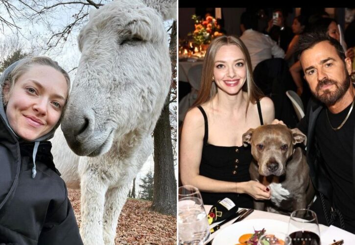 Amanda Seyfried Loves Using Her Farm to Rescue Animals ‘I Have the Means to Do It’