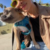 Aurora Perrineau's pet Ollie