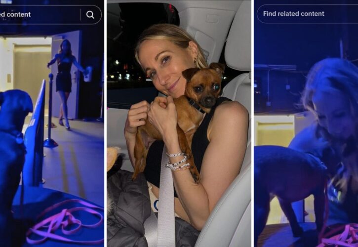 Comedian Nikki Glaser’s Adorable Rescue Pup Waits Patiently Backstage After Her Shows