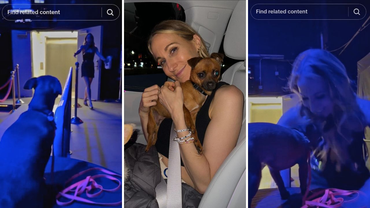 Comedian Nikki Glaser’s Adorable Rescue Pup Waits Patiently Backstage for Her