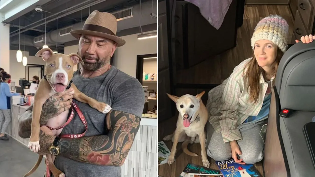 Dave Bautista and Drew Barrymore Team up for the ASPCA Adopt a Shelter Dog Month
