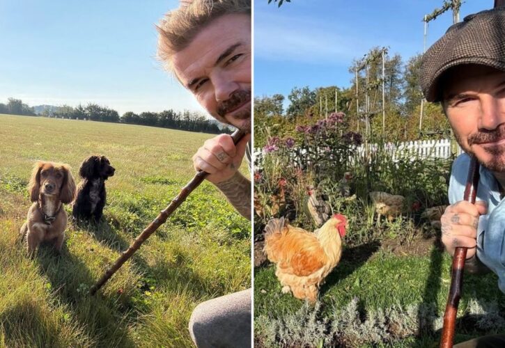 David Beckham Lives the “Country Life” With His Dogs and Chickens at His Farm Estate