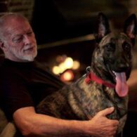 David Gilmour's pet Malinois