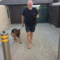 David Gilmour's pet German Shepherd and Cat